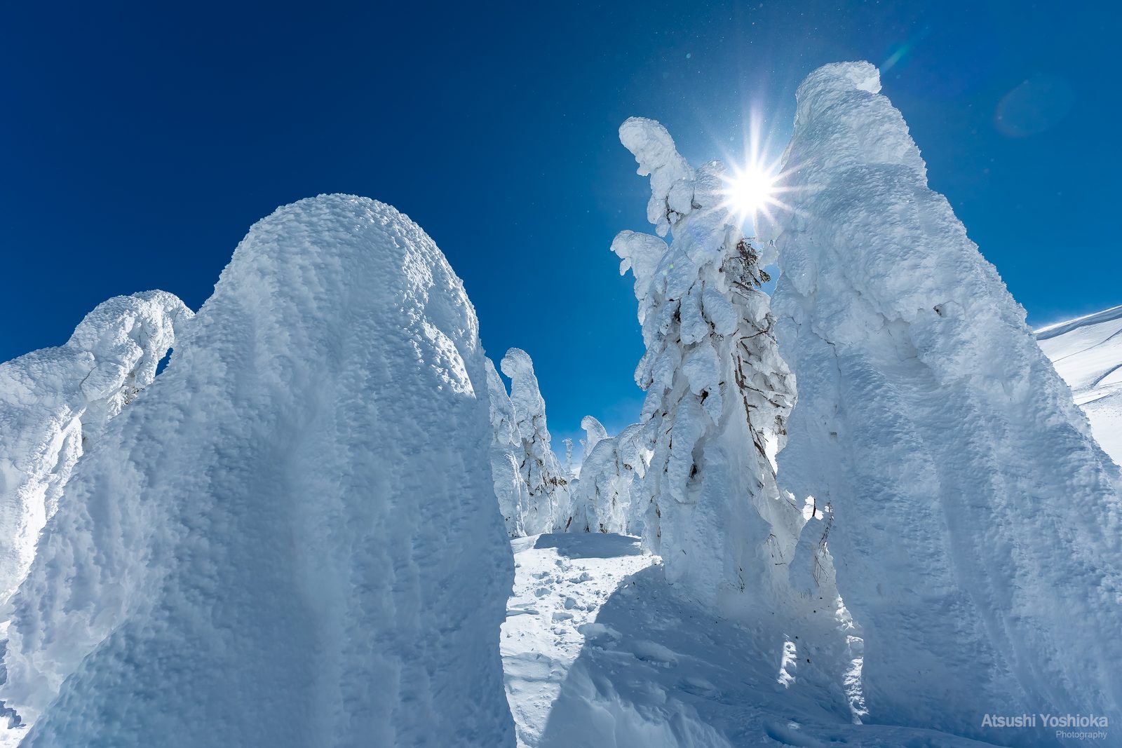青空の下、太陽を背にした大きな樹氷